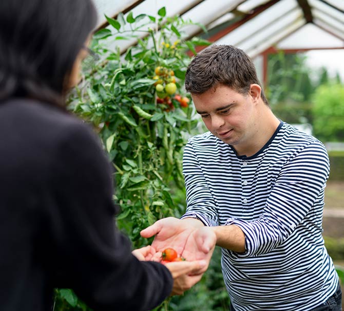 NDIS Dietary Services - Empire Community Care